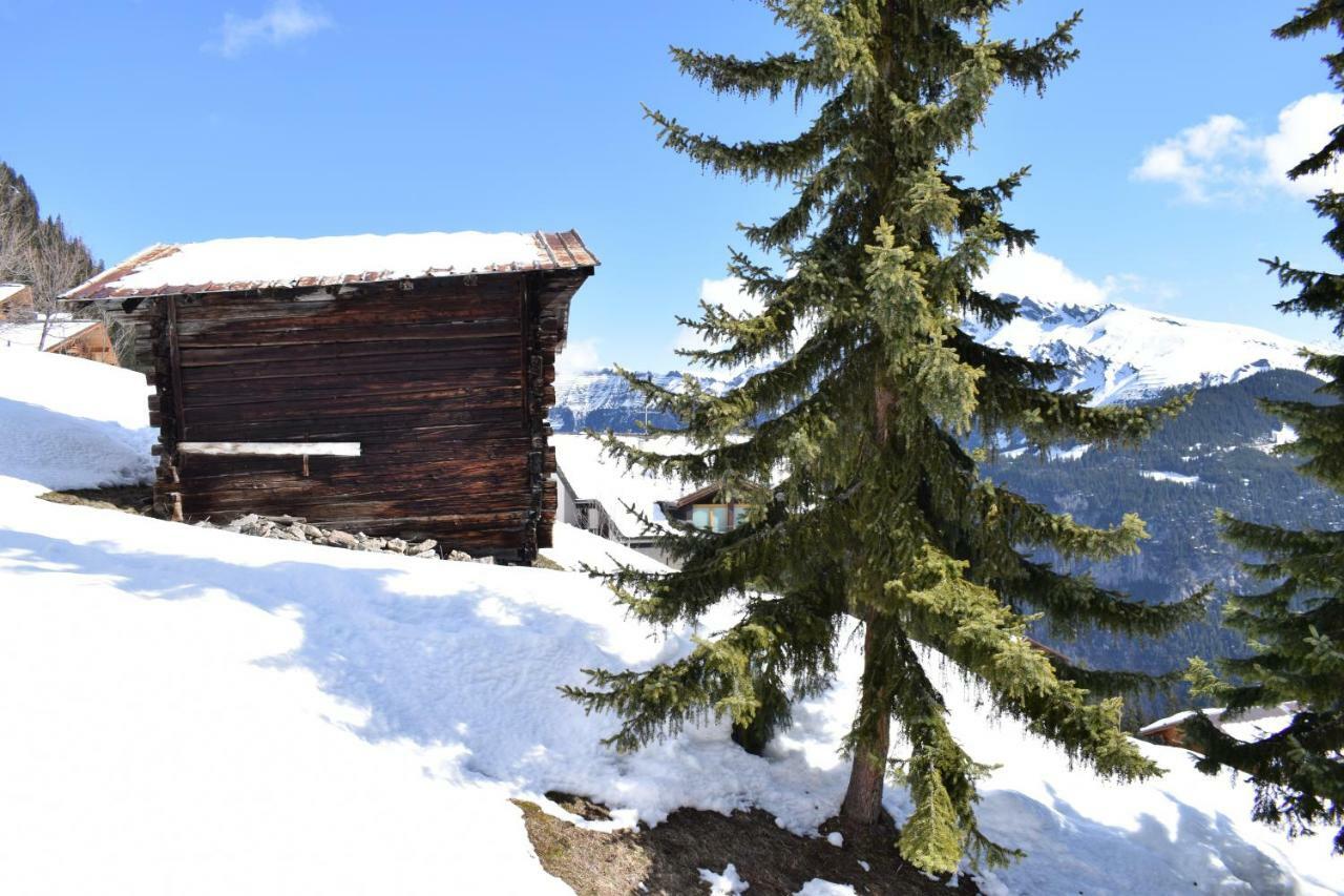 Sportlodge Muerren Ngoại thất bức ảnh