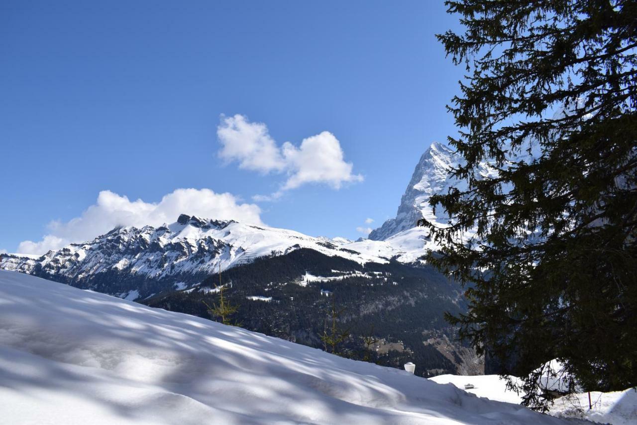 Sportlodge Muerren Ngoại thất bức ảnh
